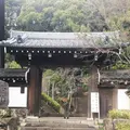 徳雄山 建功寺の写真_66784