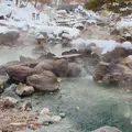 西の河原露天風呂の写真_667906
