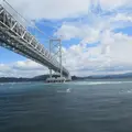 うずしおクルーズの写真_669332