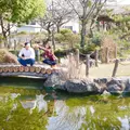 本荘公園の写真_66950