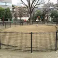 笄公園の写真_67082