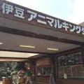 伊豆アニマルキングダムの写真_67463