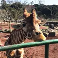 伊豆アニマルキングダムの写真_67467