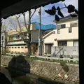 草画房の写真_67472