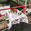 ページワンの写真_67476