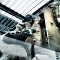 京都水族館の写真_67707