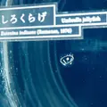 京都水族館の写真_67709