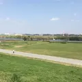 矢切の渡しの写真_68196