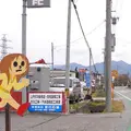 ヤマナカ サワコの写真_6820