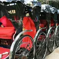 嵐山 竹林の小径の写真_68269