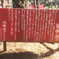 羽根木公園の写真_68502