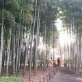 蘆花恒春園の写真_68552