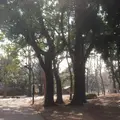蘆花恒春園の写真_68554
