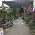 GARDEN HOUSE Kamakura（ガーデンハウス）の写真_68579