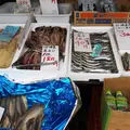 鎌倉市農協連即売所の写真_68599