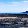 青島神社の写真_68614