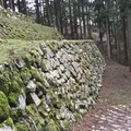 七尾城山の写真_68655