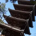 仁和寺の写真_68830
