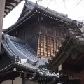 西本願寺の写真_68841
