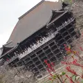 清水寺の写真_68863