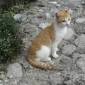 メテオラの写真_68884