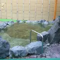 天然温泉ジャブの写真_6909