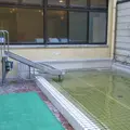 天然温泉ジャブの写真_6910