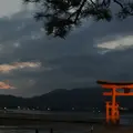 厳島神社の写真_6912