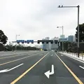 皇居の写真_69159