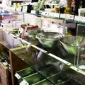 D&DEPARTMENT OSAKAの写真_69212