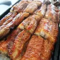 魚三の写真_6923