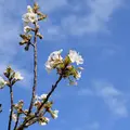 鶴岡八幡宮の写真_69307