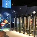 神奈川県立生命の星・地球博物館の写真_69981