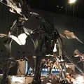 神奈川県立生命の星・地球博物館の写真_69987