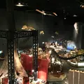 神奈川県立生命の星・地球博物館の写真_69990