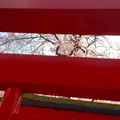 経塚稲荷神社の写真_70172