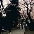 法明寺の写真_70192
