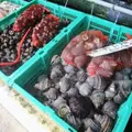 満幸商店の写真_7024