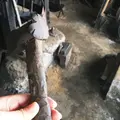孫惣の写真_70345