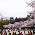 靱公園の写真_70375