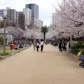 靱公園の写真_70376