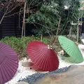 川越 椿の蔵の写真_70475