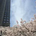 東京都庁の写真_70993