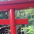 武蔵国分寺公園の写真_71404