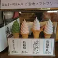 飛騨小町の写真_71592