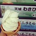 土肥特産市『ありがとう』＆レンタサイクルの写真_7169