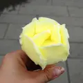 眼鏡橋の写真_7211