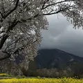 高森温泉館の写真_72222