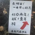 高森阿蘇神社の写真_72225