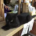 梅宮大社の写真_72503